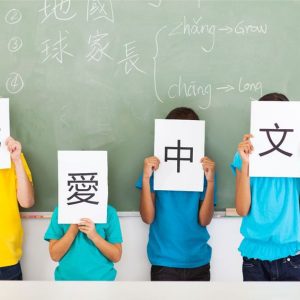 普通中文课程